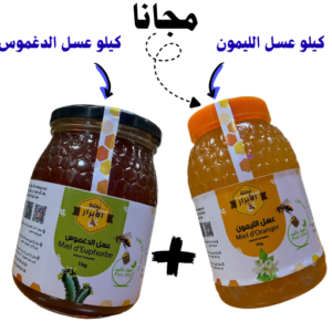 عرض الشتاء