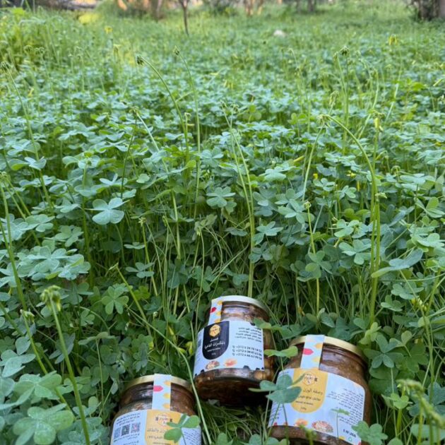 بك الطاقة الملكية