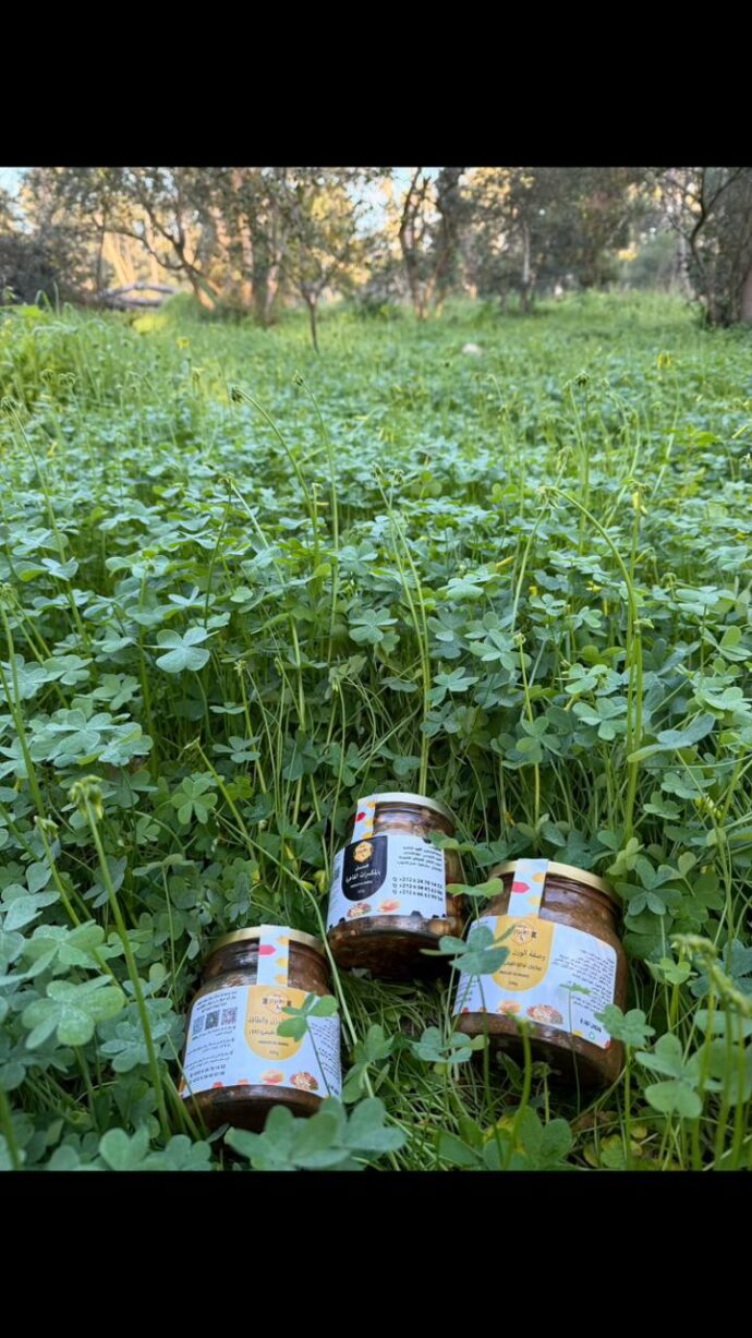 بك الطاقة الملكية